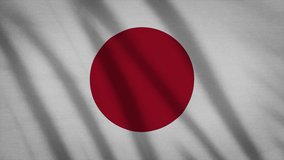 Video of Japan Flag Background