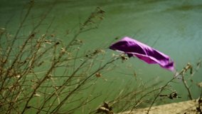 piece of purple plastic caught on tree branches in the wind near a river in the city. video for pollution