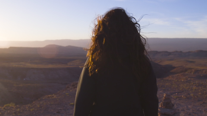 
woman with hair blowing in the wind opening her arms to the landscape, Atacama, Chile Royalty-Free Stock Footage #1043609596