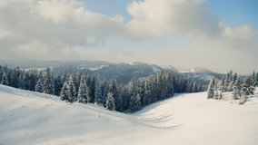 Beautiful panorama of snowy mountains landscape with snow covered forest. Christmas background with tall frozen spruce trees, winter adventure holiday and recreation