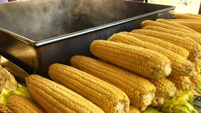 Buy 4K video of boiled corn being made of corn lined up side by side and grilled kebab corn on the grill.