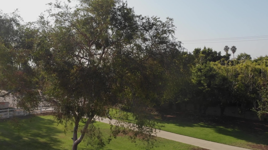 Slow crane shot rising over Long Beach, California suburban neighborhood