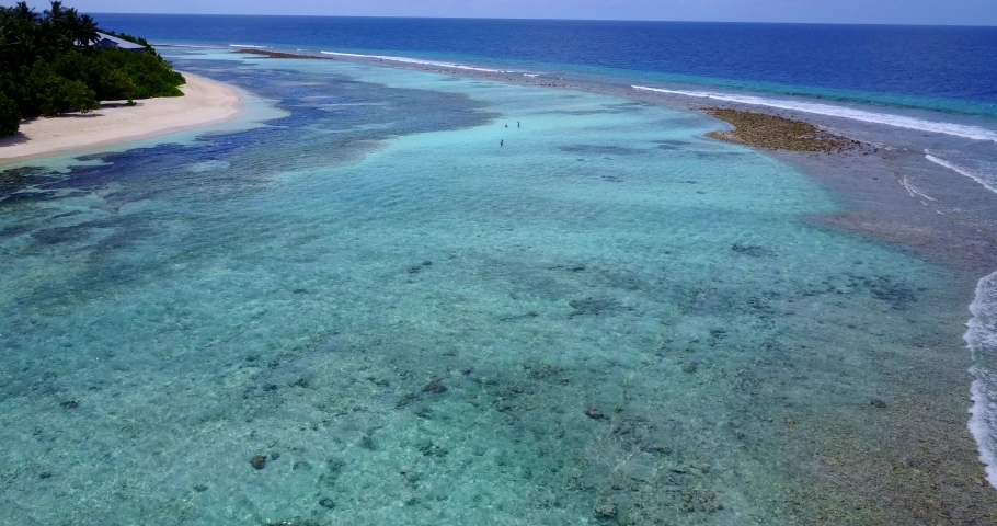 Sargassum Algae Seaweed On The Coastline Of Barbados Caribbean sea, aerial