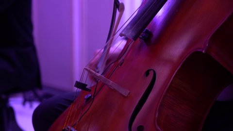 Professional musician in dinner jacket play on contrabass vs double bass close up footage on event.