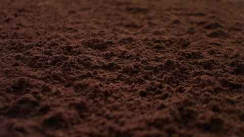 Ripe selected cocoa beans fall from top to bottom on flying cocoa powder. The concept of the taste of chocolate and gourmet desserts. Slow motion