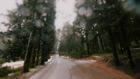 Drive On First Winter Snow On Forest Asphalt Road.Pov driving shot of an alsphalt road as it passes through a white forest on the first christmas snow.Snow falling towards camera.10bit original clip.