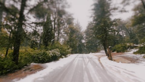 Drive On First Winter Snow On Forest Asphalt Road.Pov driving shot of an alsphalt road as it passes through a white forest on the first christmas snow.Snow falling towards camera.10bit original clip.