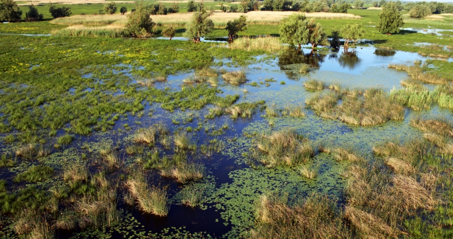 Aerial view of Kopacki rit Nature Park, Croatia