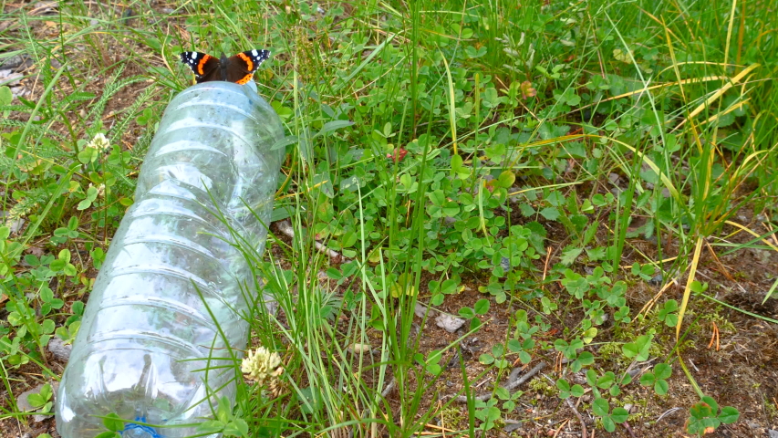 The plastic bottle on the grassy ground with the buttefly on the top