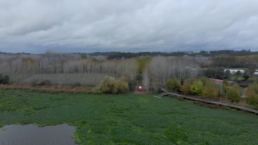 Aerial view of a lake landcape full of water hyacinths on a autumn cloudy day. Van parked near the lake shore.