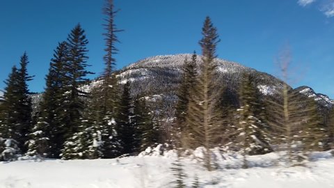 Driving through mountains with trees passing by in winter, in the Rocky Mountains of Canada