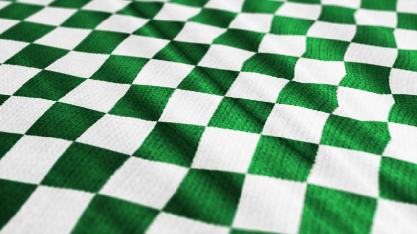 green and white checkered pants