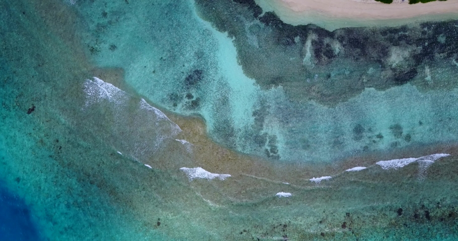 tropical island with a multicolored coral reef. eautiful tropical island with sand beach, palm trees.