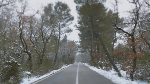 Drive On First Winter Snow On Forest Asphalt Road.Pov slomo driving shot of an alsphalt road as it passes through a white forest at the first christmas snow of winter.