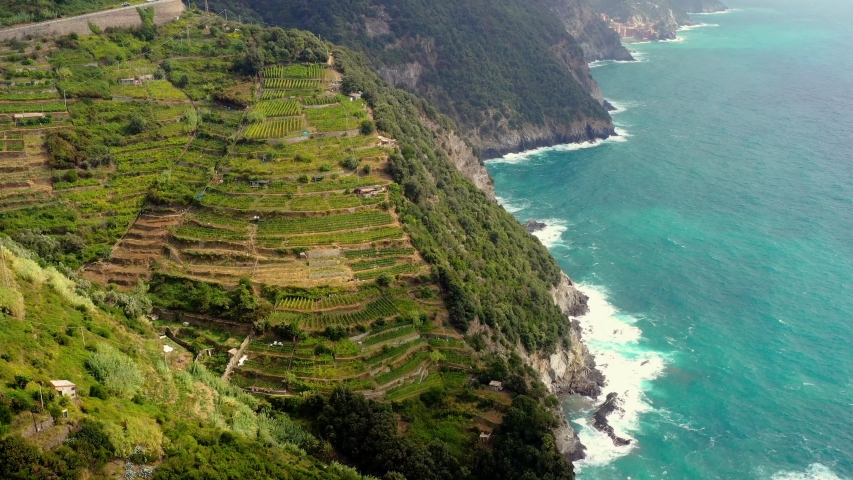 Amazing aerial shot over the vineyards on the terraces, along the Cinque Terre mountains, near the village of Monterosso in the municipality of La Spezia province, aerial view with a drone  Royalty-Free Stock Footage #1043856652