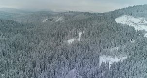 Drone footage snow covered trees, winter nature beautiful Europe aerial view pine forest mountain, season travel white frozen nature idyllic
