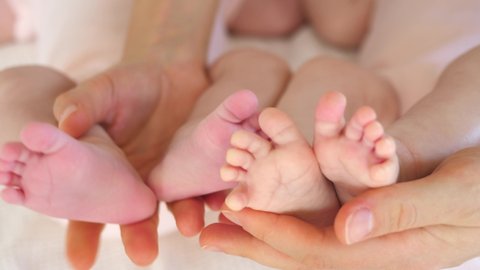 Newborn Baby Feet Of Twins In Mother's Hands.
