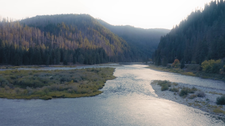Aerial: Flying over a pine forest and river in the Nez Perce Clearwater National Forests, Idaho, USA 
