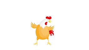 Happy chicken jumping. Rooster character design. Animation on white background.