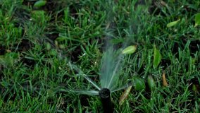 Irrigation of green grassy lawn. Watering fresh foliage outdoors with automatic sprinkler irrigation system. Abstract blurry video background. Slow motion full hd video footage.