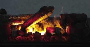 Ceramic Wood Logs in Fireplace With Fire Effects