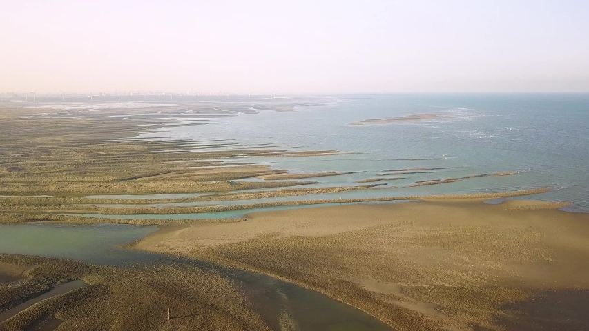 Aerial shot of coastal wetlands,Taichung,Taiwan