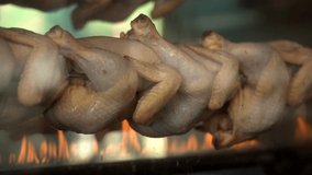 Closeup view of several whole chickens cooking in grill rotisserie over open fire. Slow motion full hd video footage.