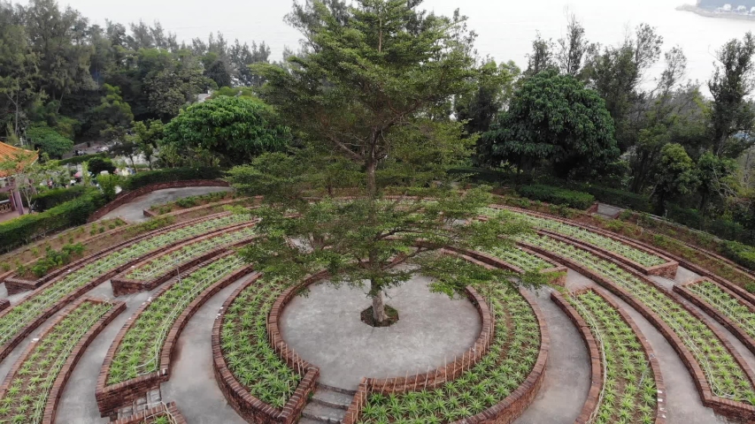 The beautiful round flower bed with a tall tree in the center, 20200101 