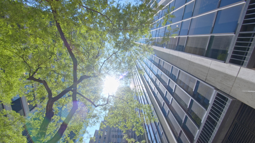 Low angle dolly motion view on NYC skyscrapers facades, green tree top and shining sun blue sky  Royalty-Free Stock Footage #1043973883
