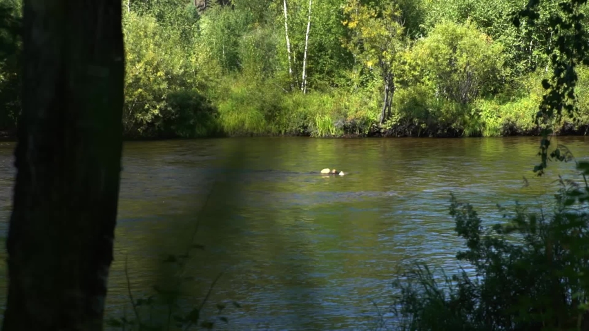 girl with basket of mushrooms walking towards a river