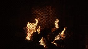 Close up shot of fire burning in home fireplace with fireplace screen - Powered by Shutterstock - Get 15% off with code: PIKWIZARD15