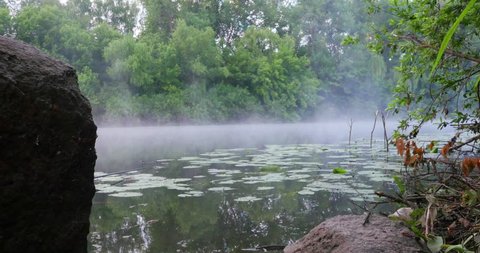 Morning mist on the calm river in summer morning

