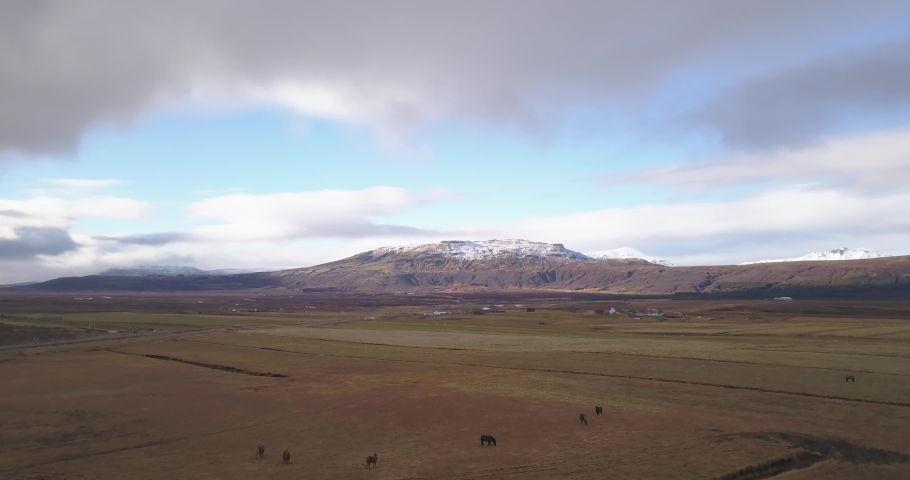 Iceland aerial with horses and mountains 