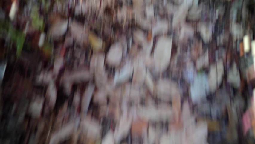 Subjective Camera Angle, Walkway in the mountains by the sea