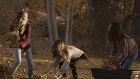 Slow motion of playful girl dumping autumn leaves on friend / Cedar Hills, Utah, United States