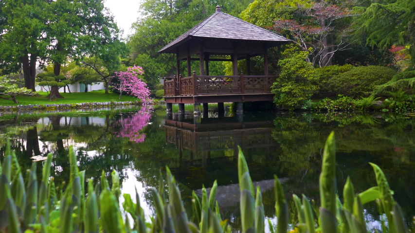 slow motion tilt of small hut on still lake with lush green and pink plants