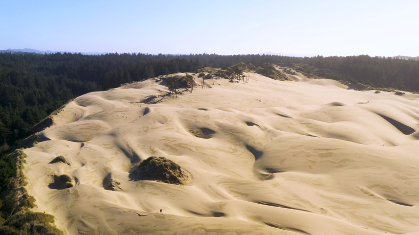 Drone shot of person walks in sand dune Florence Oregon USA