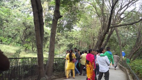 Pune, Maharashtra, India 5 January 2020 - Unidentified tourists visit to zoo or zoological gardens for enjoyment