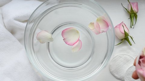 Making aromatic rose water for spa procedure, woman hand dropping petals of pink roses in glass bowl, natural skin care.