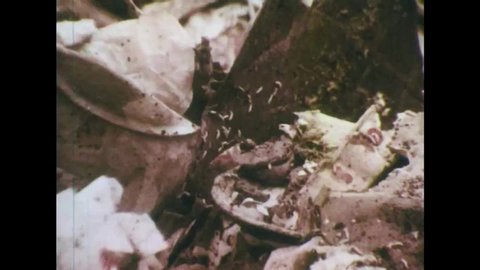 CIRCA 1960s - Close up shots of a garbage dump infested with pests and rodents in the 1960s