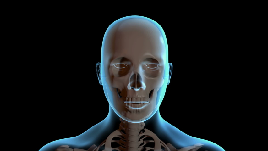 Shutterstock video thumbnail
