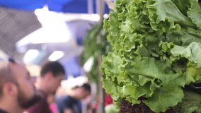 salad and other greenery are lying on the counter in the city marketplace in the summer day and an unrecognizable blurred man buying it on a background, close up view slow motion video in 4K