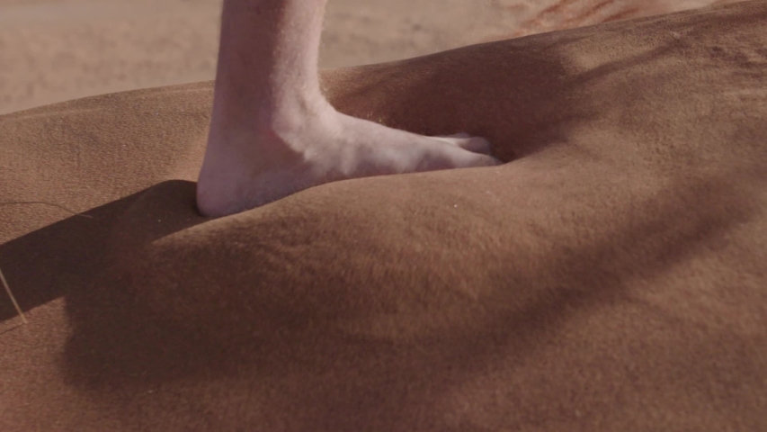 Slow motion shot of feet walking on the red sand of a dune in the Namib desert. Royalty-Free Stock Footage #1044258175