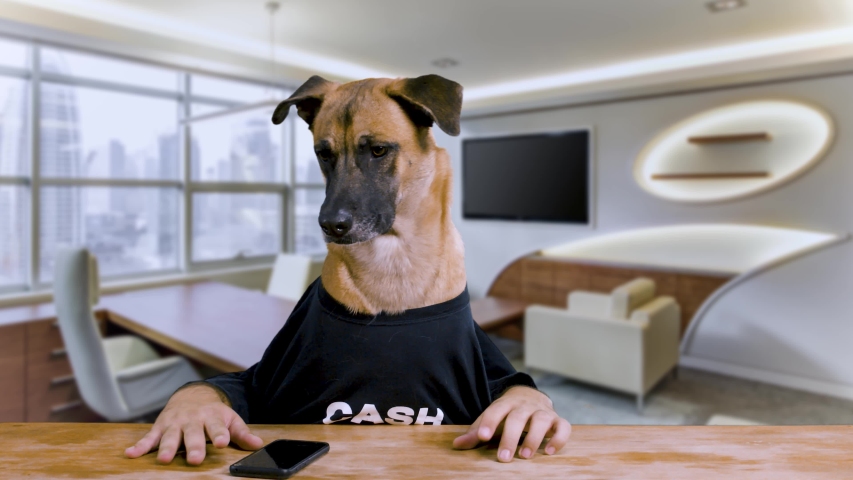 Dog with human hands sitting at a desk and playing with his phone wearing a black shirt in an office | Shutterstock HD Video #1044258733