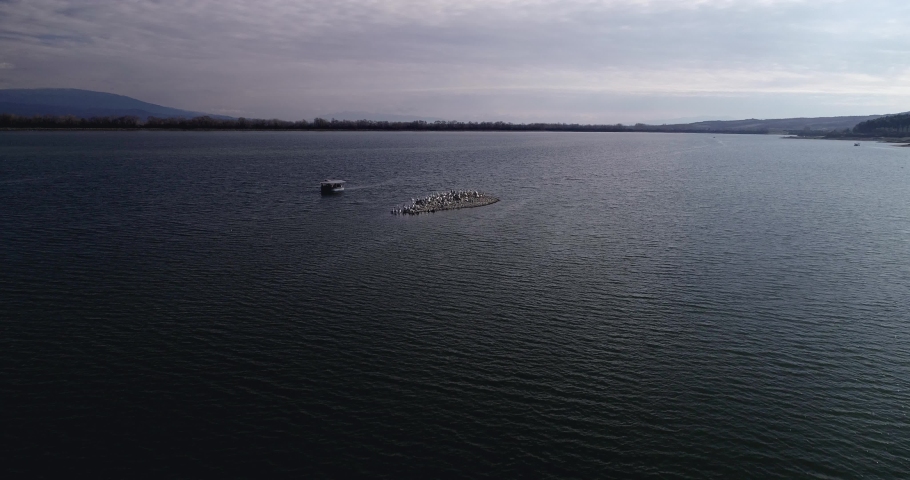 a small island with many birds on the lake Kerkini in Northern Greece. many birds find refuge in the lake