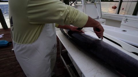 Person slicing up large game fish on jetty next to boat, slow motion medium shot