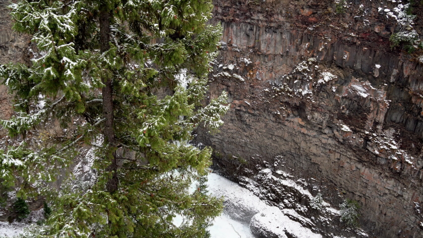 Aerial pan reveal shot of slim waterfall with frozen base, pine trees in the foreground while snowing, Jasper National Park, Alberta Canada
