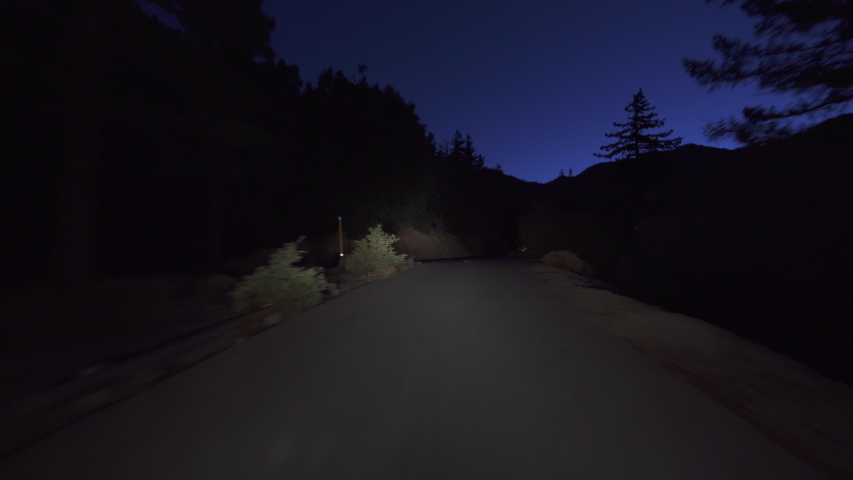 Alpine Forest Narrow Road Before Dawn Driving Plate Front View 
