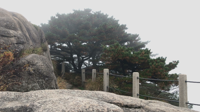 Landscape of Mount Huangshan (Yellow Mountains). UNESCO World Heritage Site. Located in Huangshan, Anhui, China.