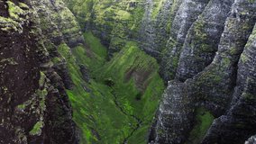 Unique drone footage from inside secluded ravine of Hawaiian island. Grey rocky slopes of ancient volcanic formations surround deep inaccessible gorge with vibrant green vegetation on the bottom. 4K